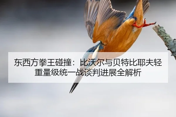 东西方拳王碰撞：比沃尔与贝特比耶夫轻重量级统一战谈判进展全解析